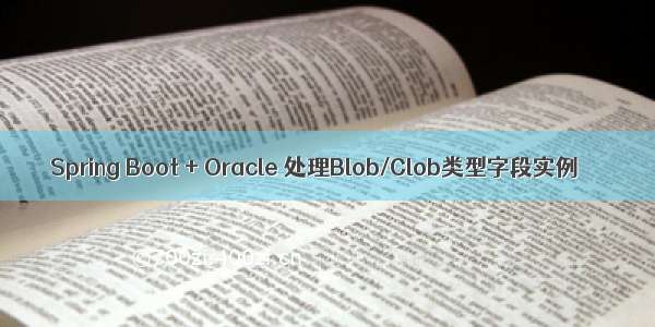 Spring Boot + Oracle 处理Blob/Clob类型字段实例