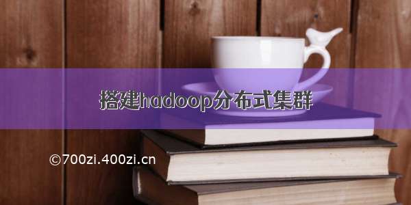 搭建hadoop分布式集群