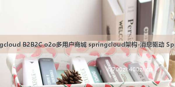 （十七）Java springcloud B2B2C o2o多用户商城 springcloud架构-消息驱动 Spring Cloud Stream...