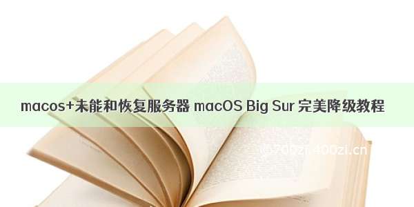 macos+未能和恢复服务器 macOS Big Sur 完美降级教程