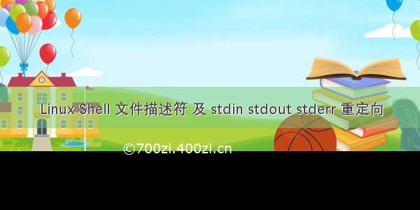 Linux Shell 文件描述符 及 stdin stdout stderr 重定向