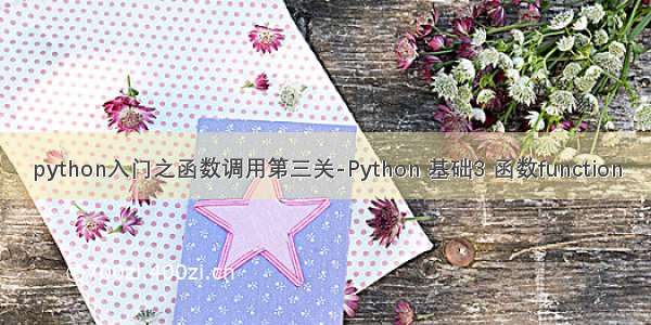 python入门之函数调用第三关-Python 基础3 函数function