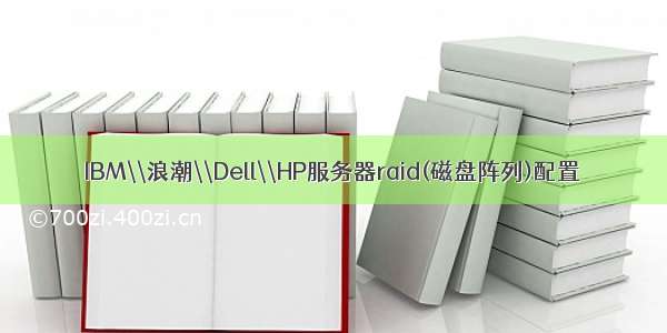 IBM\\浪潮\\Dell\\HP服务器raid(磁盘阵列)配置