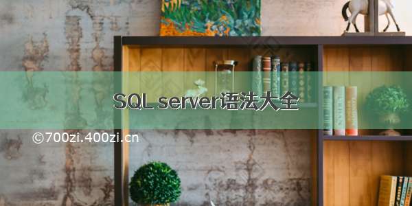 SQL server语法大全