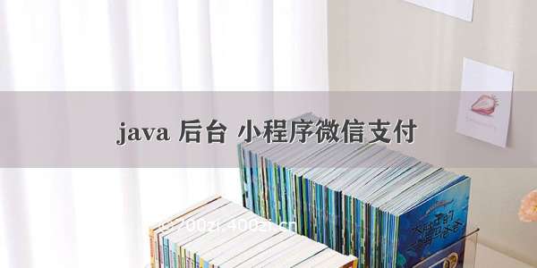 java 后台 小程序微信支付