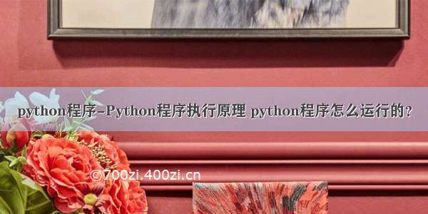python程序-Python程序执行原理 python程序怎么运行的？