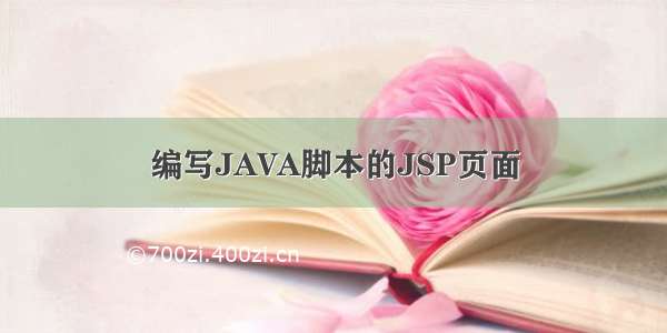 编写JAVA脚本的JSP页面