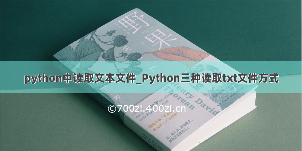 python中读取文本文件_Python三种读取txt文件方式