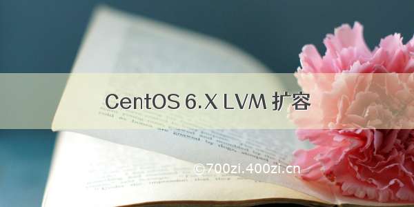 CentOS 6.X LVM 扩容