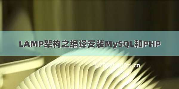 LAMP架构之编译安装MySQL和PHP