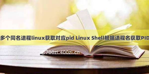 多个同名进程linux获取对应pid Linux Shell根据进程名获取PID