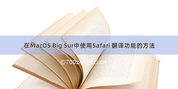 在MacOS Big Sur中使用Safari 翻译功能的方法