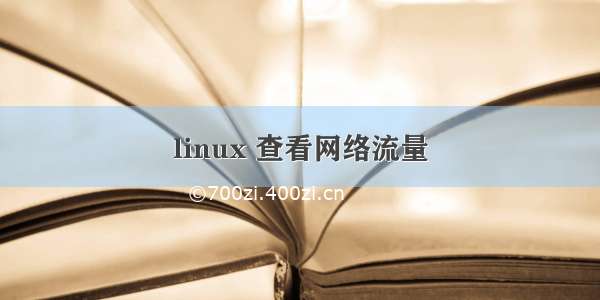 linux 查看网络流量