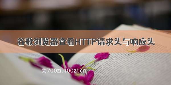 谷歌浏览器查看HTTP请求头与响应头