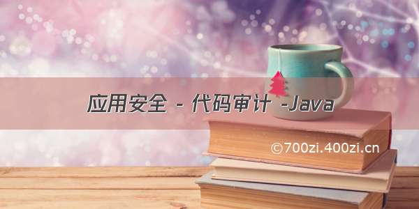 应用安全 - 代码审计 -Java