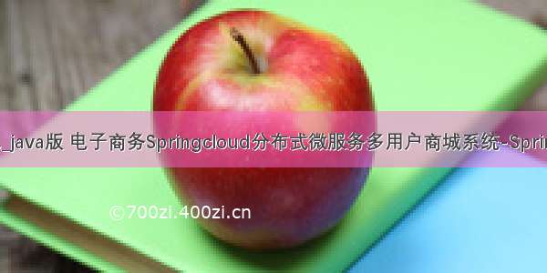 java将分布式打包_java版 电子商务Springcloud分布式微服务多用户商城系统-Springboot项目打包...