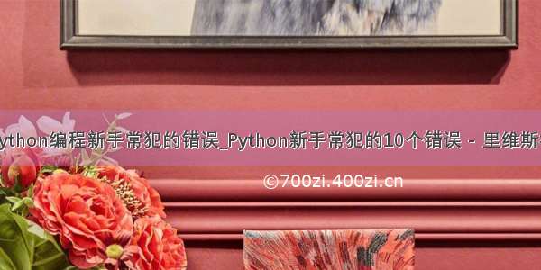 python编程新手常犯的错误_Python新手常犯的10个错误 - 里维斯社