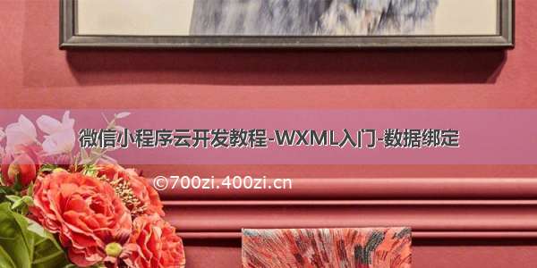 微信小程序云开发教程-WXML入门-数据绑定