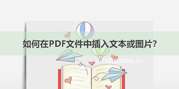 如何在PDF文件中插入文本或图片？