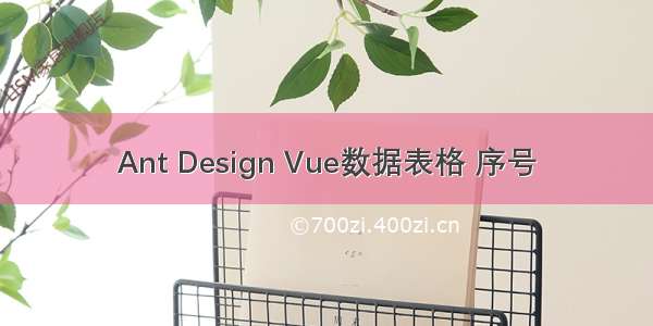 Ant Design Vue数据表格 序号