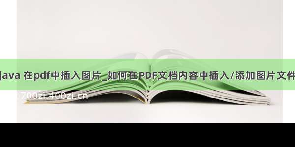 java 在pdf中插入图片_如何在PDF文档内容中插入/添加图片文件