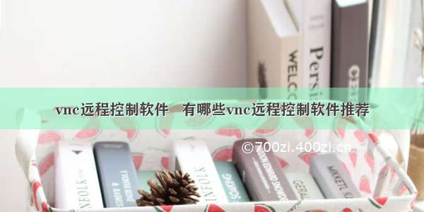 vnc远程控制软件   有哪些vnc远程控制软件推荐