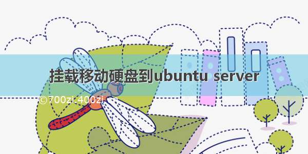 挂载移动硬盘到ubuntu server