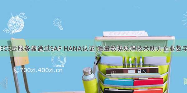 阿里云ECS云服务器通过SAP HANA认证 海量数据处理技术助力企业数字化转型