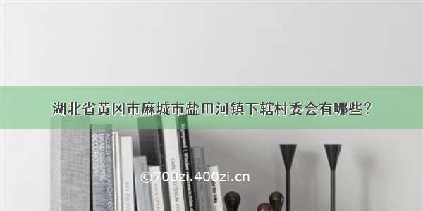 湖北省黄冈市麻城市盐田河镇下辖村委会有哪些？