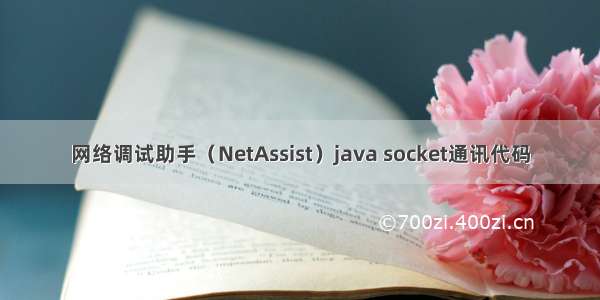 网络调试助手（NetAssist）java socket通讯代码