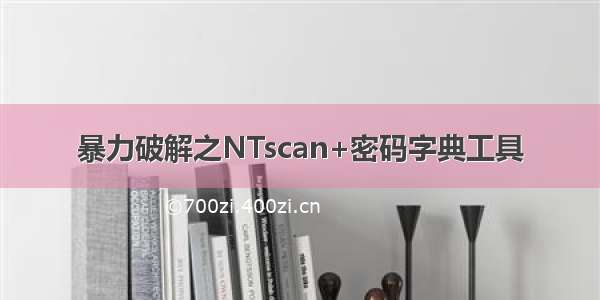 暴力破解之NTscan+密码字典工具