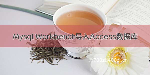 Mysql Workbench导入Access数据库