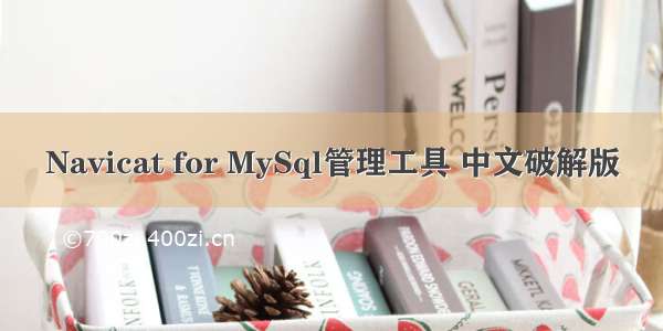 Navicat for MySql管理工具 中文破解版