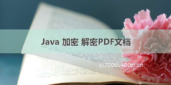 Java 加密 解密PDF文档