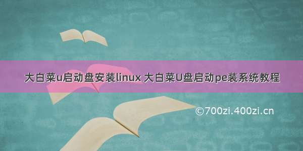 大白菜u启动盘安装linux 大白菜U盘启动pe装系统教程