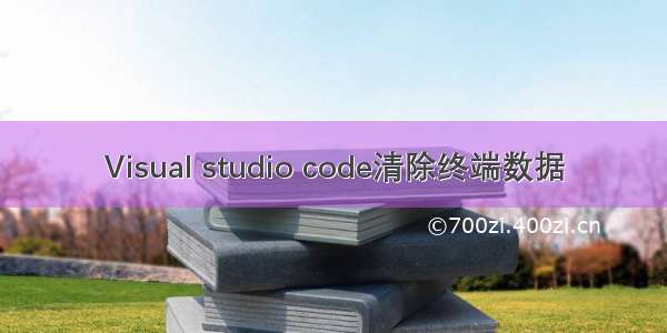 Visual studio code清除终端数据