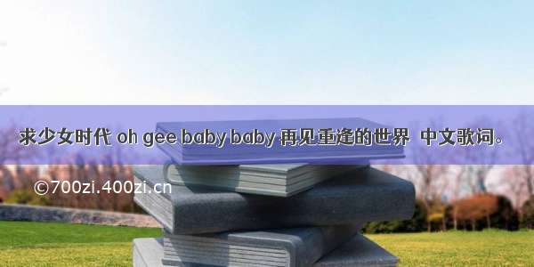 求少女时代 oh gee baby baby 再见重逢的世界  中文歌词。