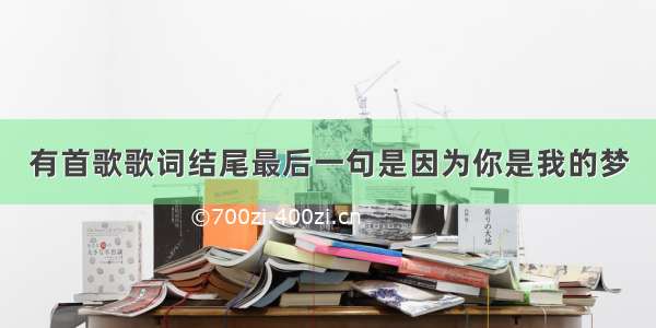 有首歌歌词结尾最后一句是因为你是我的梦