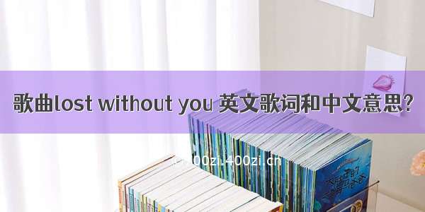 歌曲lost without you 英文歌词和中文意思?