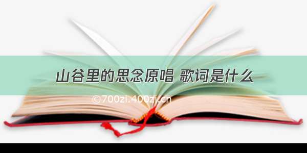 山谷里的思念原唱 歌词是什么