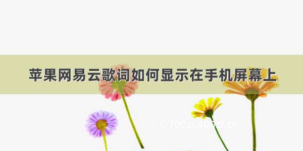 苹果网易云歌词如何显示在手机屏幕上