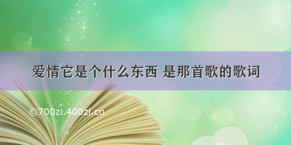 爱情它是个什么东西 是那首歌的歌词