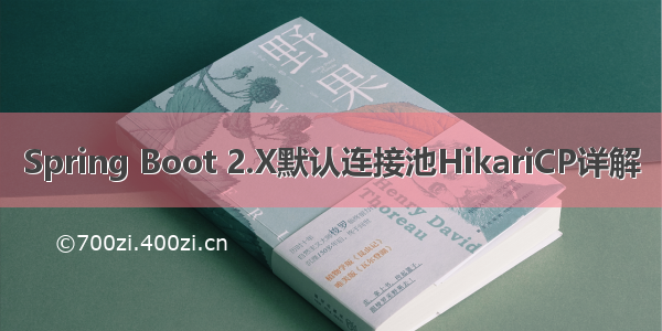 Spring Boot 2.X默认连接池HikariCP详解