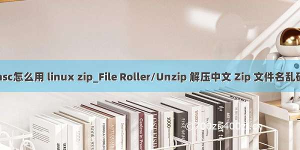 asc怎么用 linux zip_File Roller/Unzip 解压中文 Zip 文件名乱码