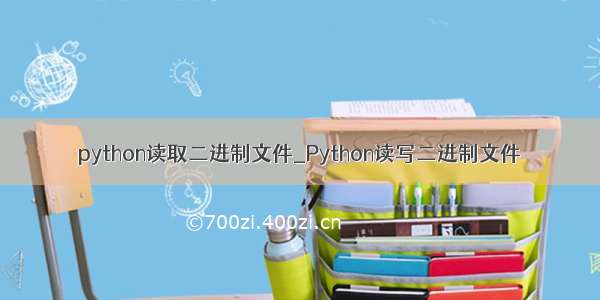 python读取二进制文件_Python读写二进制文件