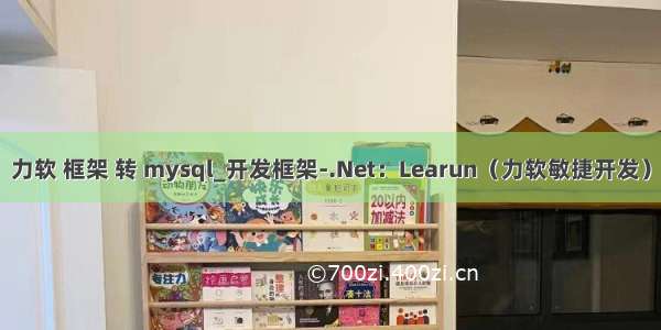 力软 框架 转 mysql_开发框架-.Net：Learun（力软敏捷开发）