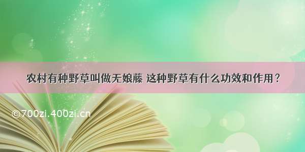 农村有种野草叫做无娘藤 这种野草有什么功效和作用？