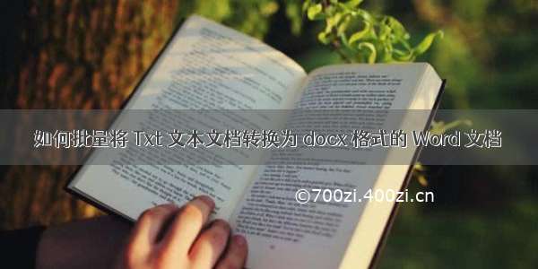 如何批量将 Txt 文本文档转换为 docx 格式的 Word 文档