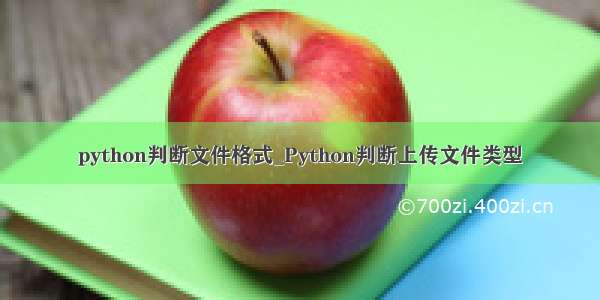 python判断文件格式_Python判断上传文件类型