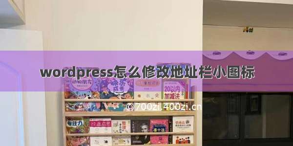 wordpress怎么修改地址栏小图标